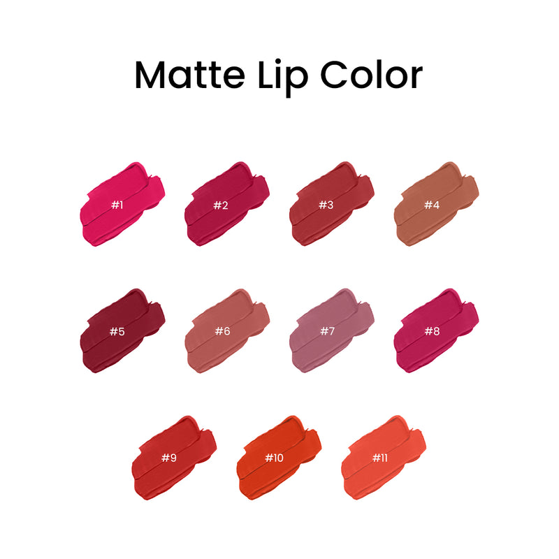 MATTE LIP COLOR GLOSS